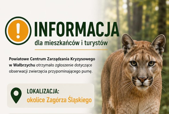 Zgłoszenie dotyczące nieznanego zwierzęcia w rejonie Zagórza Śląskiego